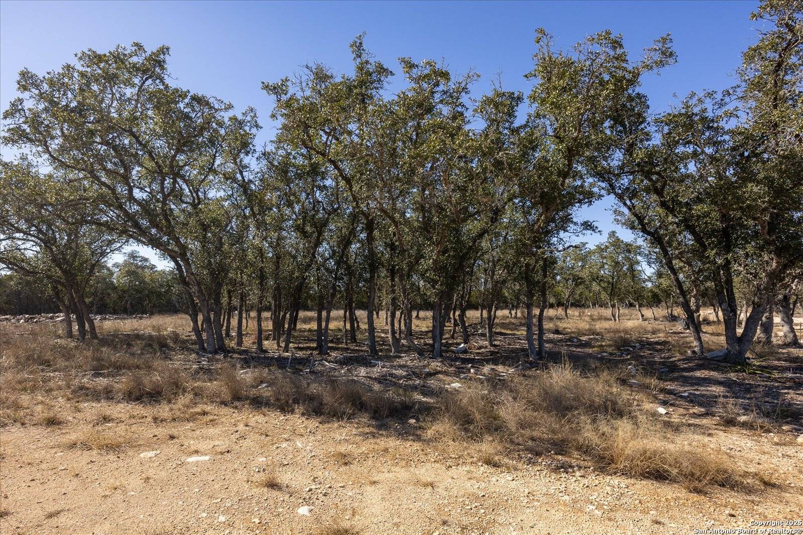 Fair Oaks Ranch, TX 78015,487 Ranch Pass