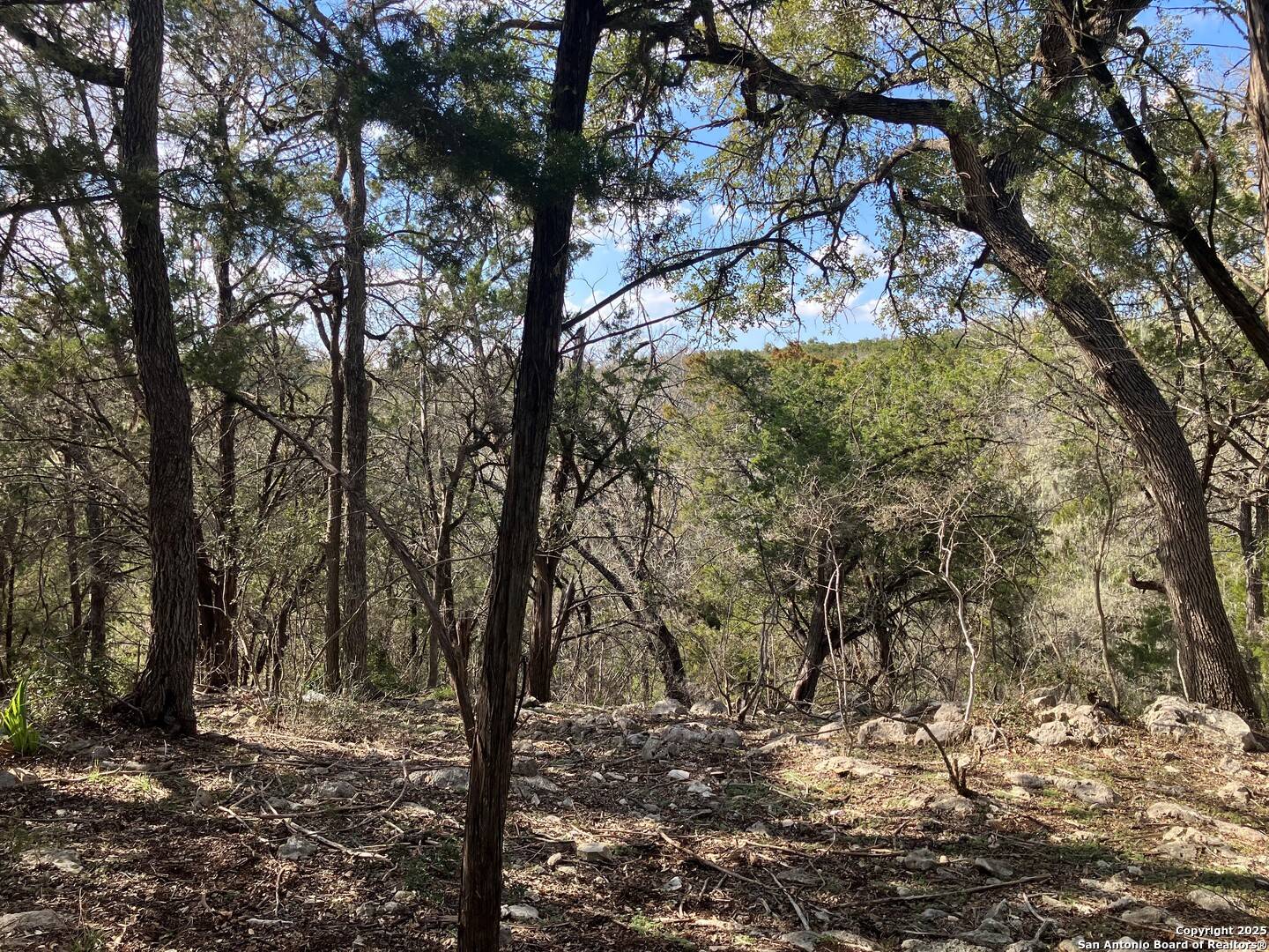 Spring Branch, TX 78070,253 TWIN LAKE TRL