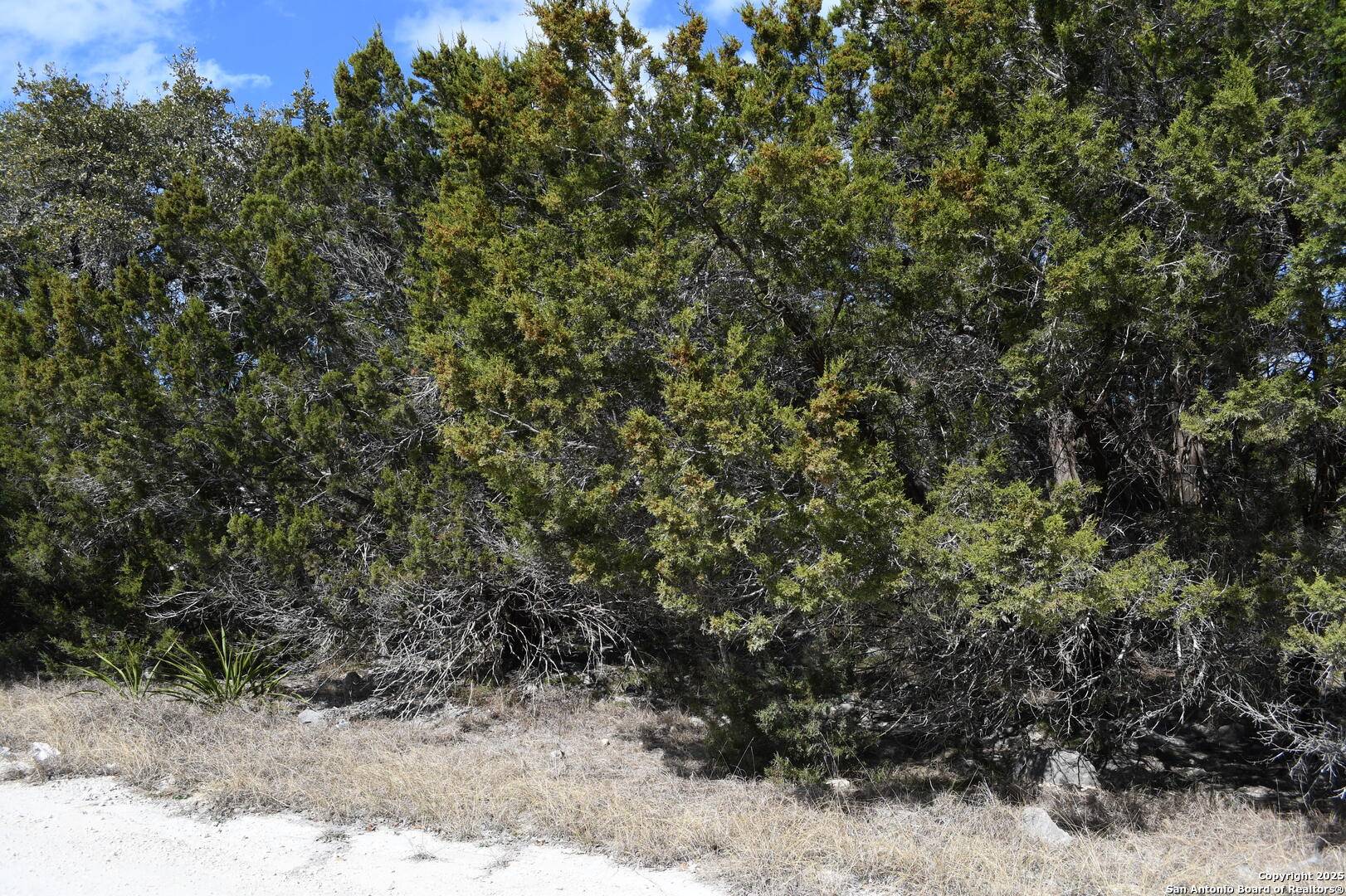 Spring Branch, TX 78070,1738 Cave DR