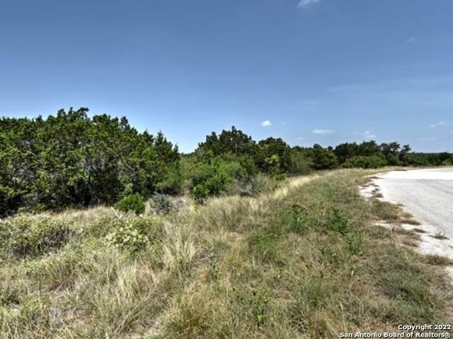 Mico, TX 78056,124 CR 2801 E