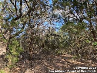 Spring Branch, TX 78070,750 MISTY LN