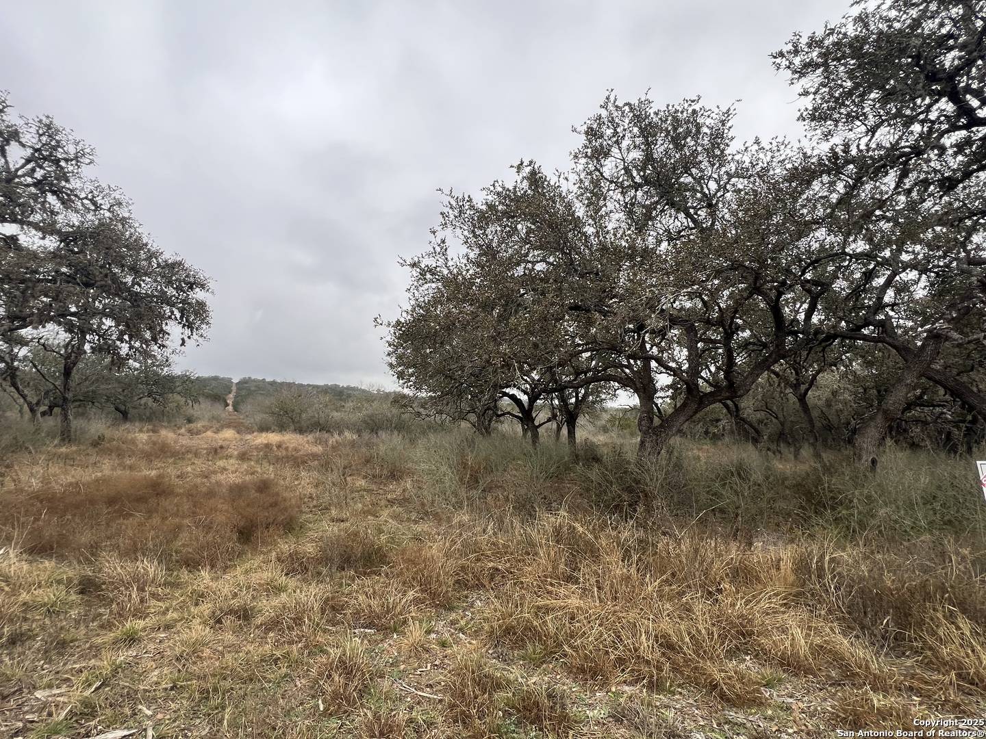 Hondo, TX 78861,LOT 181 Valley Oaks Ranch Phase 2