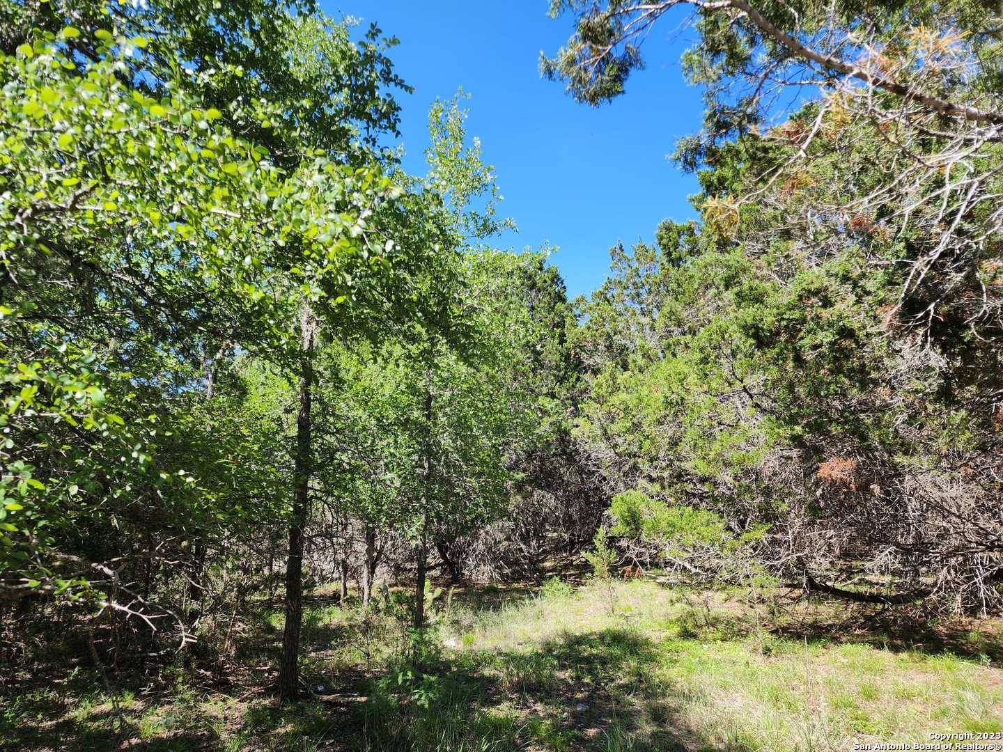 Bulverde, TX 78163,5051 FM 1863