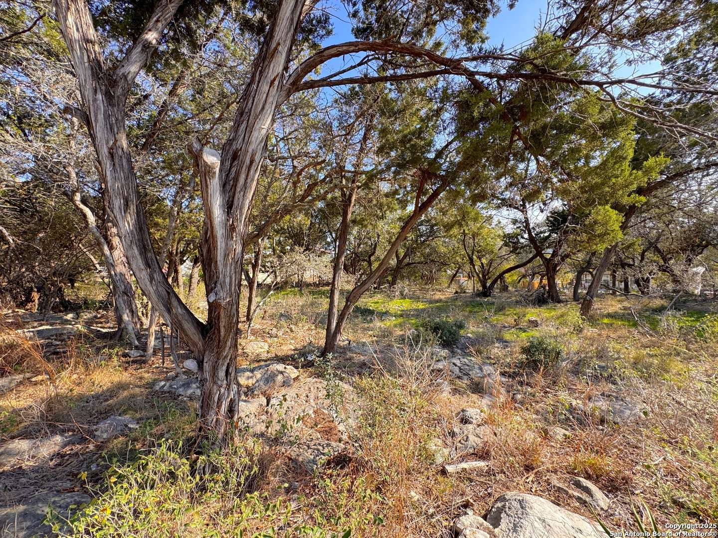 Canyon Lake, TX 78133,TBD Westview Dr