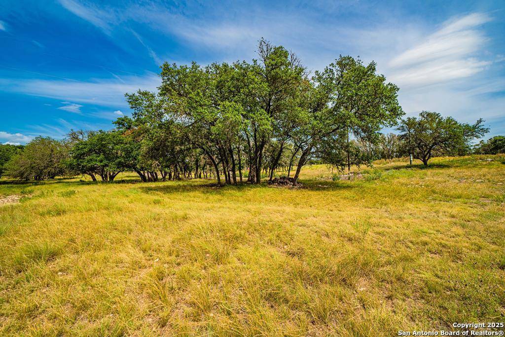 Harper, TX 78631,326 Blue Oak Tr