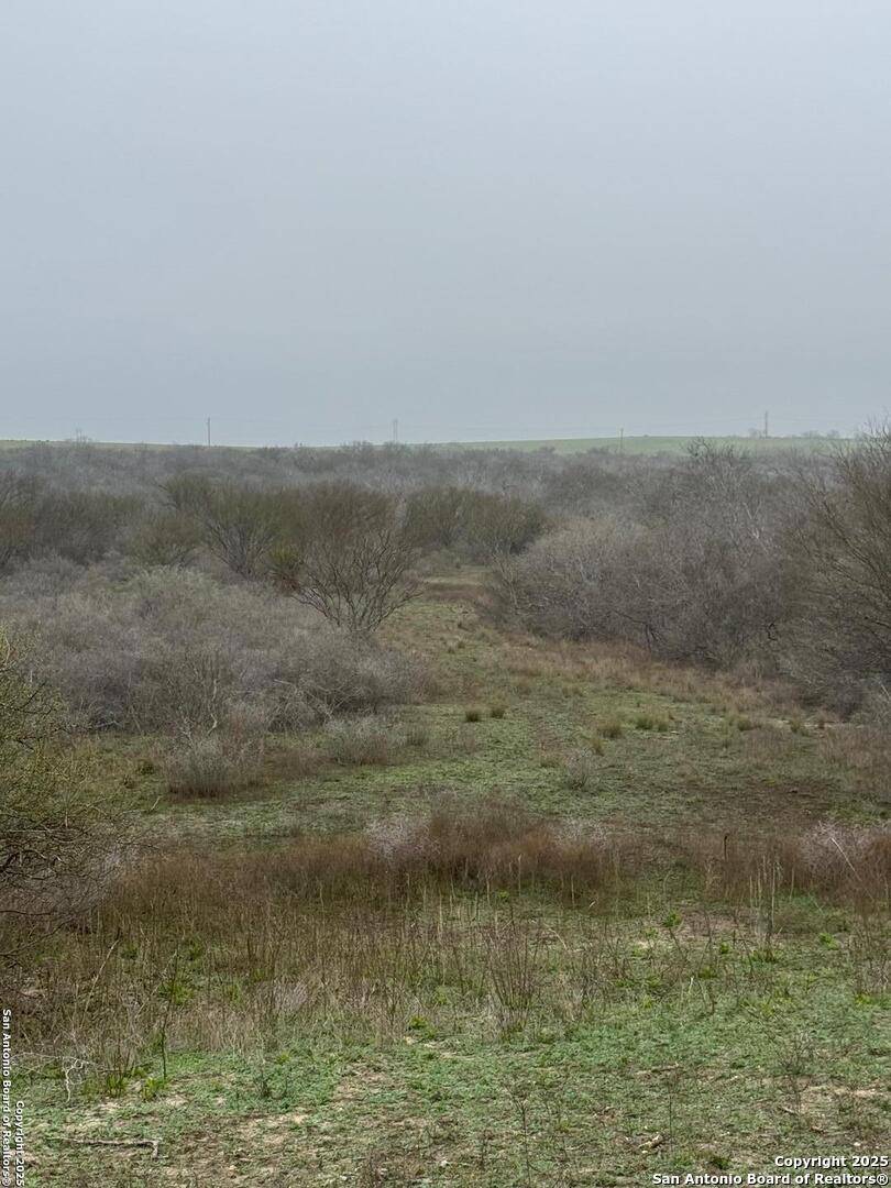 Kenedy, TX 78119-5332,00 COUNTY ROAD 153