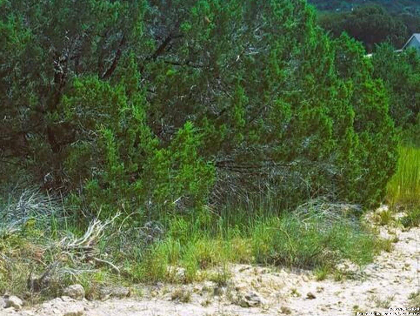 Spring Branch, TX 78070,0 KEN WAYNE DR