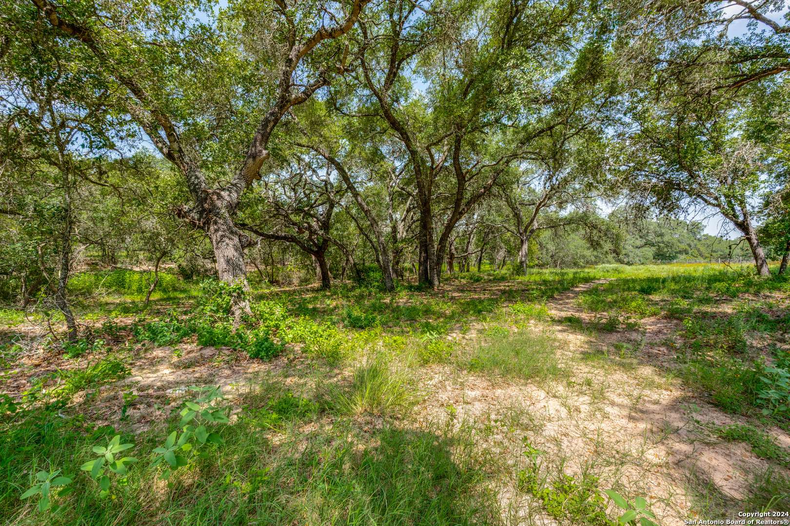 La Vernia, TX 78121,161 Chisum Trl