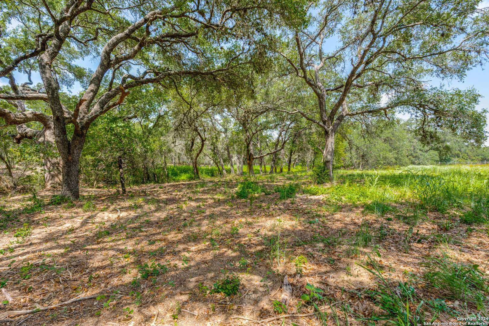 La Vernia, TX 78121,161 Chisum Trl