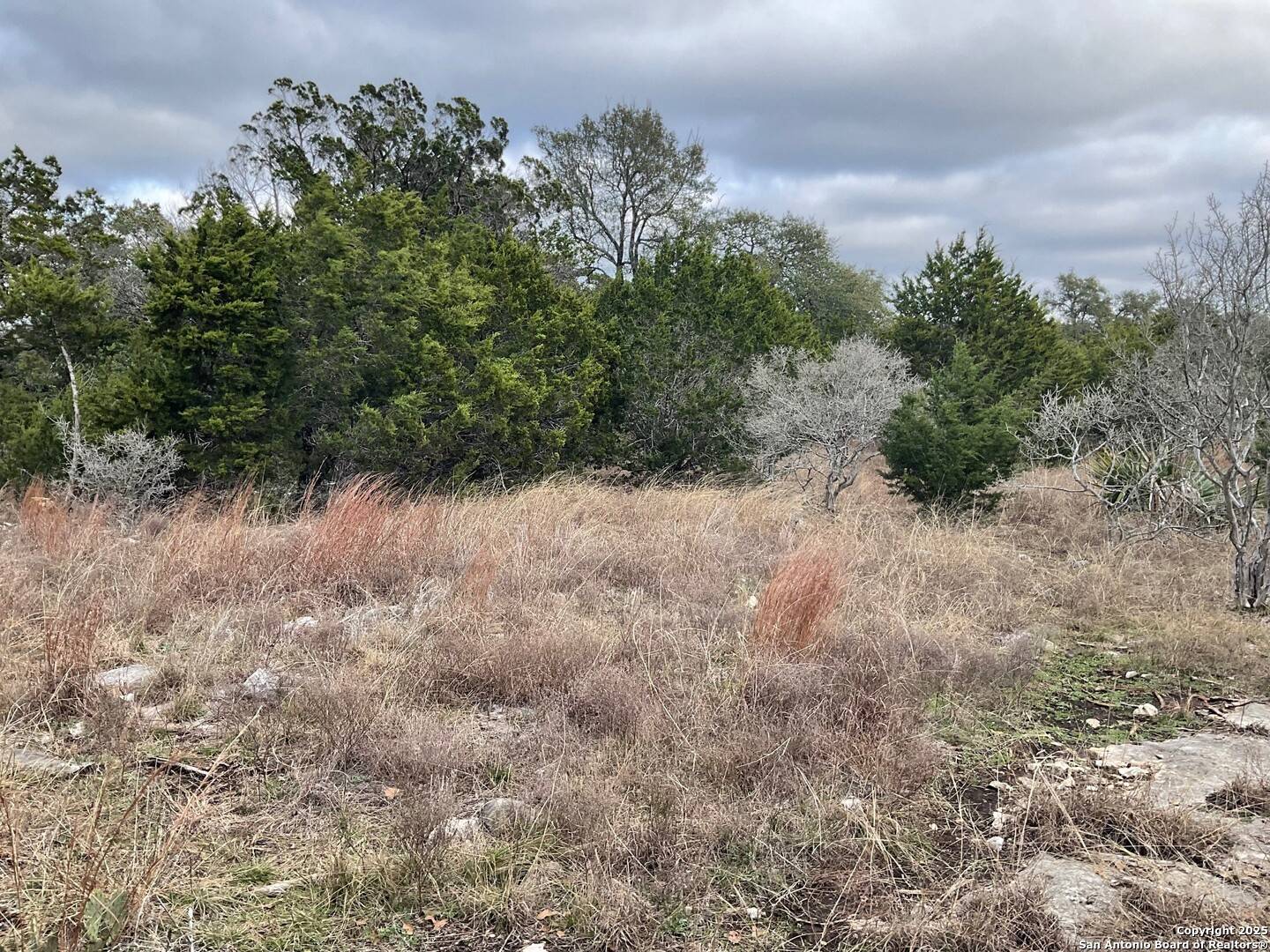 Boerne, TX 78006-4706,11 LEDGESTONE TRL