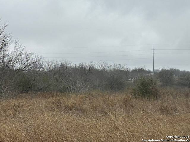 Jourdanton, TX 78026,000 ALLEY BEHIND CEDAR ST