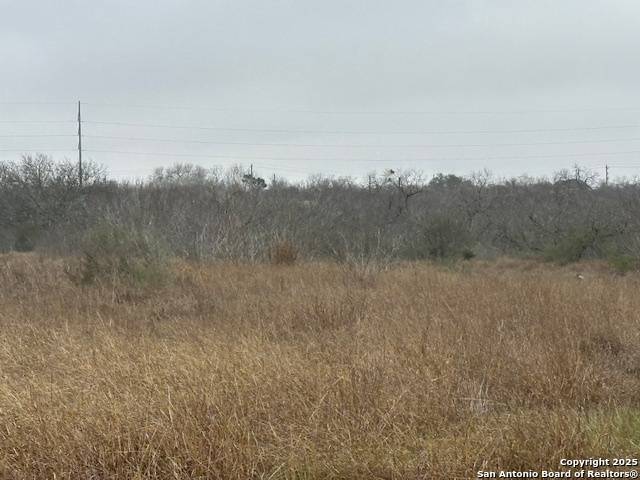 Jourdanton, TX 78026,000 ALLEY BEHIND CEDAR ST