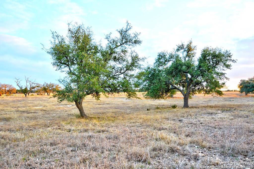 Harper, TX 78631,-- Oryx View Dr.