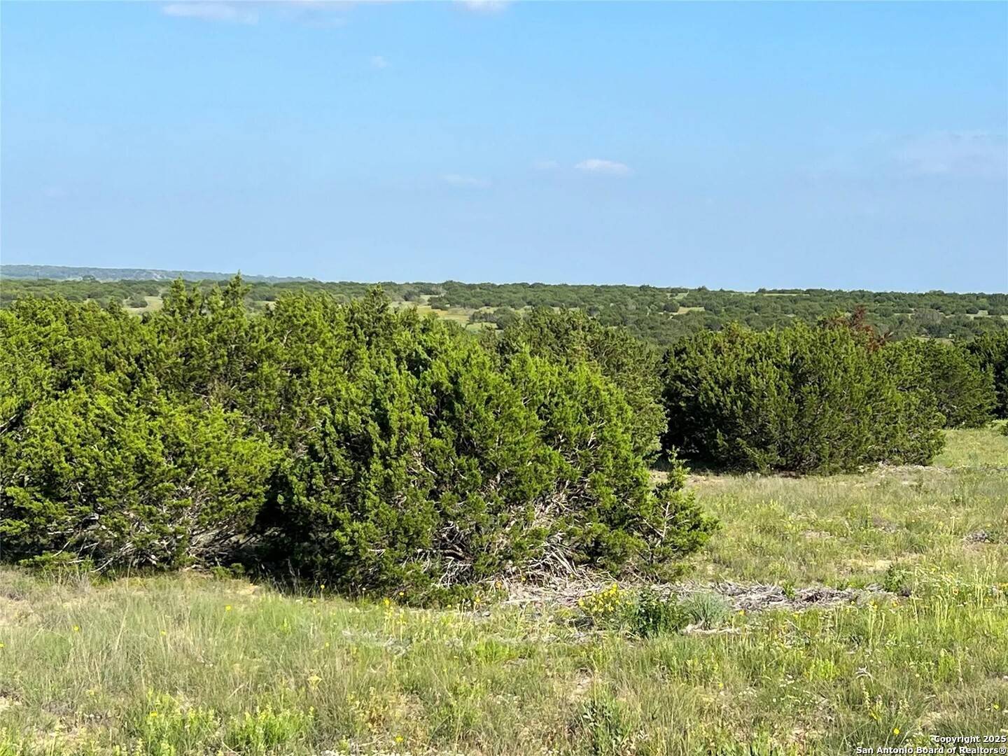 Jonesboro, TX 76538,LOT 17 PR 16020