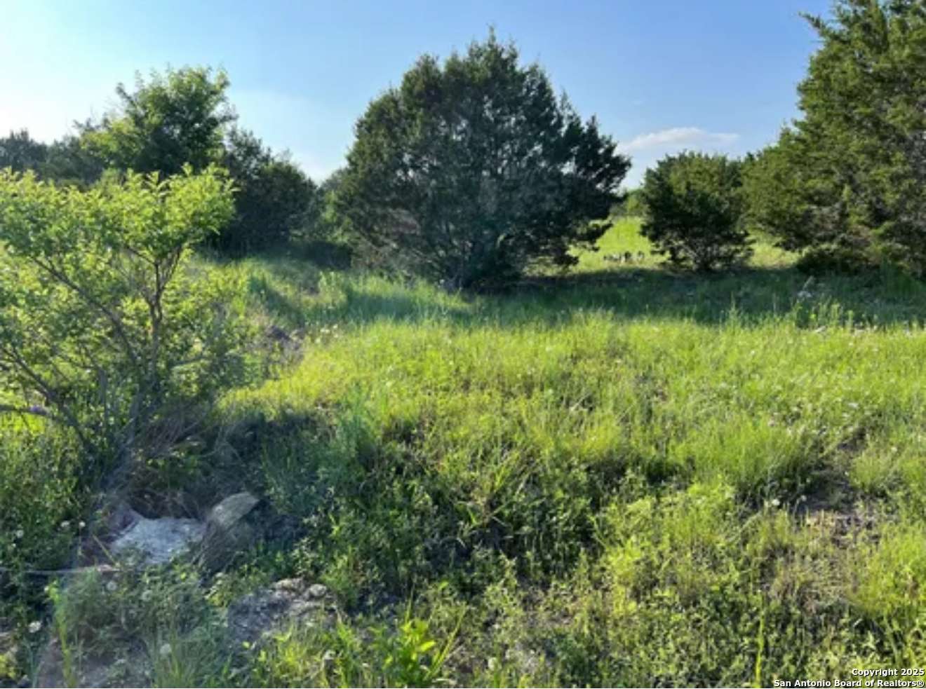 Jonesboro, TX 76538,LOT 17 PR 16020