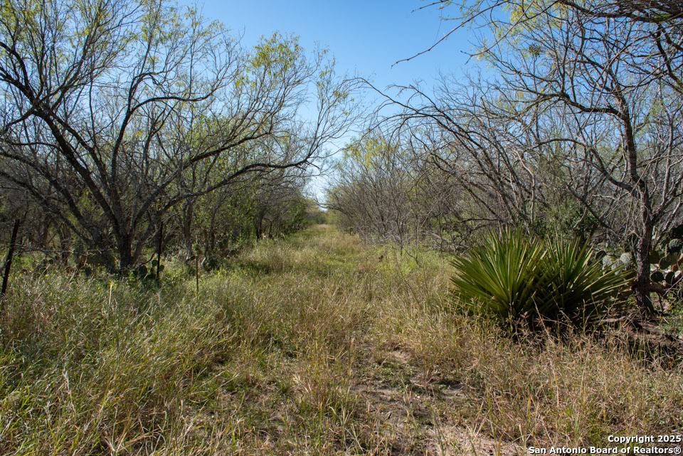 Kenedy, TX 78119,TBD County Road 138