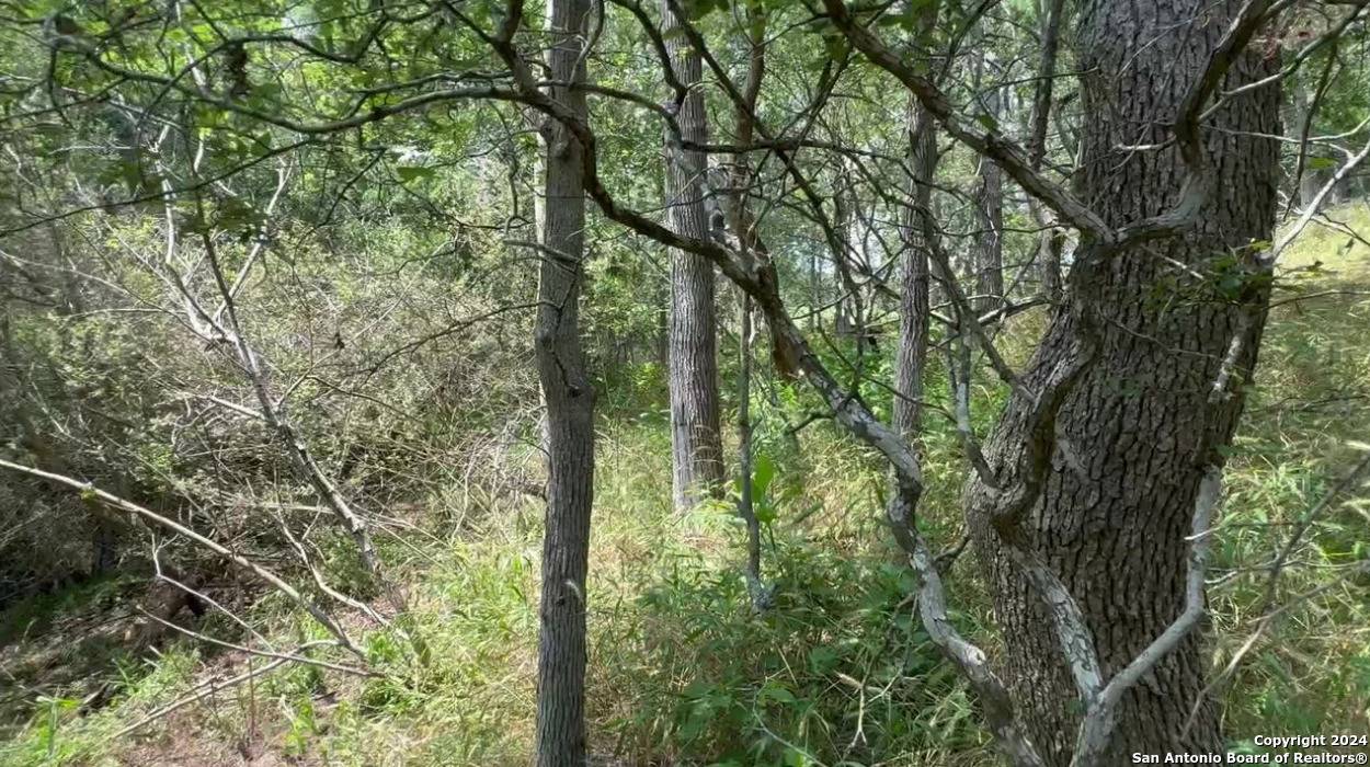 Bastrop, TX 78602,LOT 649 Kaukonahua Ln