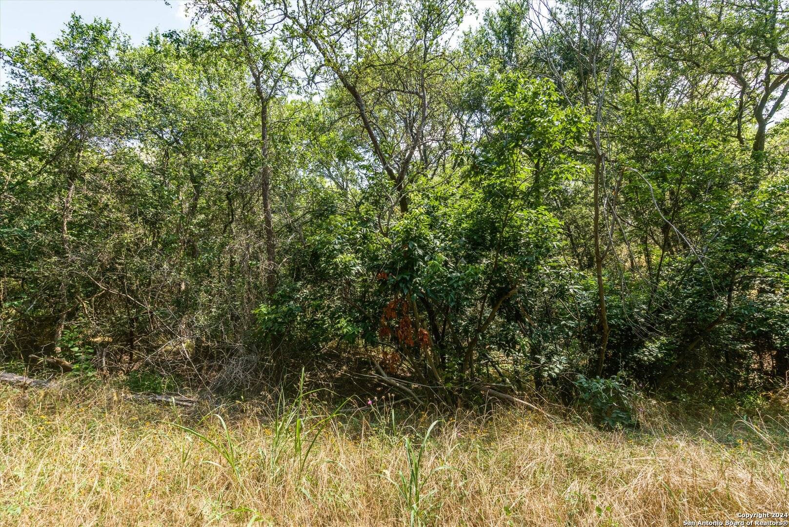 Bastrop, TX 78602,LOT 650 Kaukonahua Ln