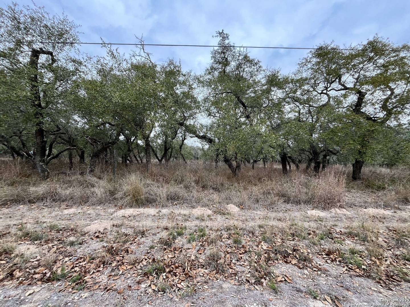 Natalia, TX 78059,233 Palomino Trl