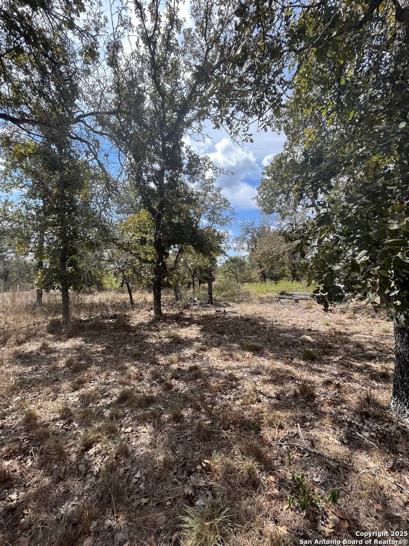 Seguin, TX 78155,300 Deer Ridge