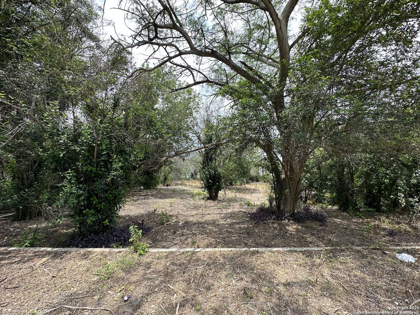San Antonio, TX 78203,139 Anderson