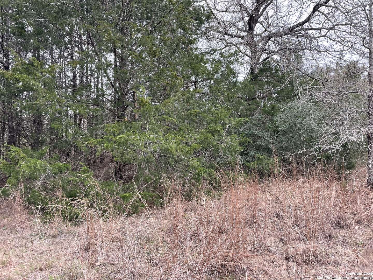 Harwood, TX 78632,00 Mule Creek Rd