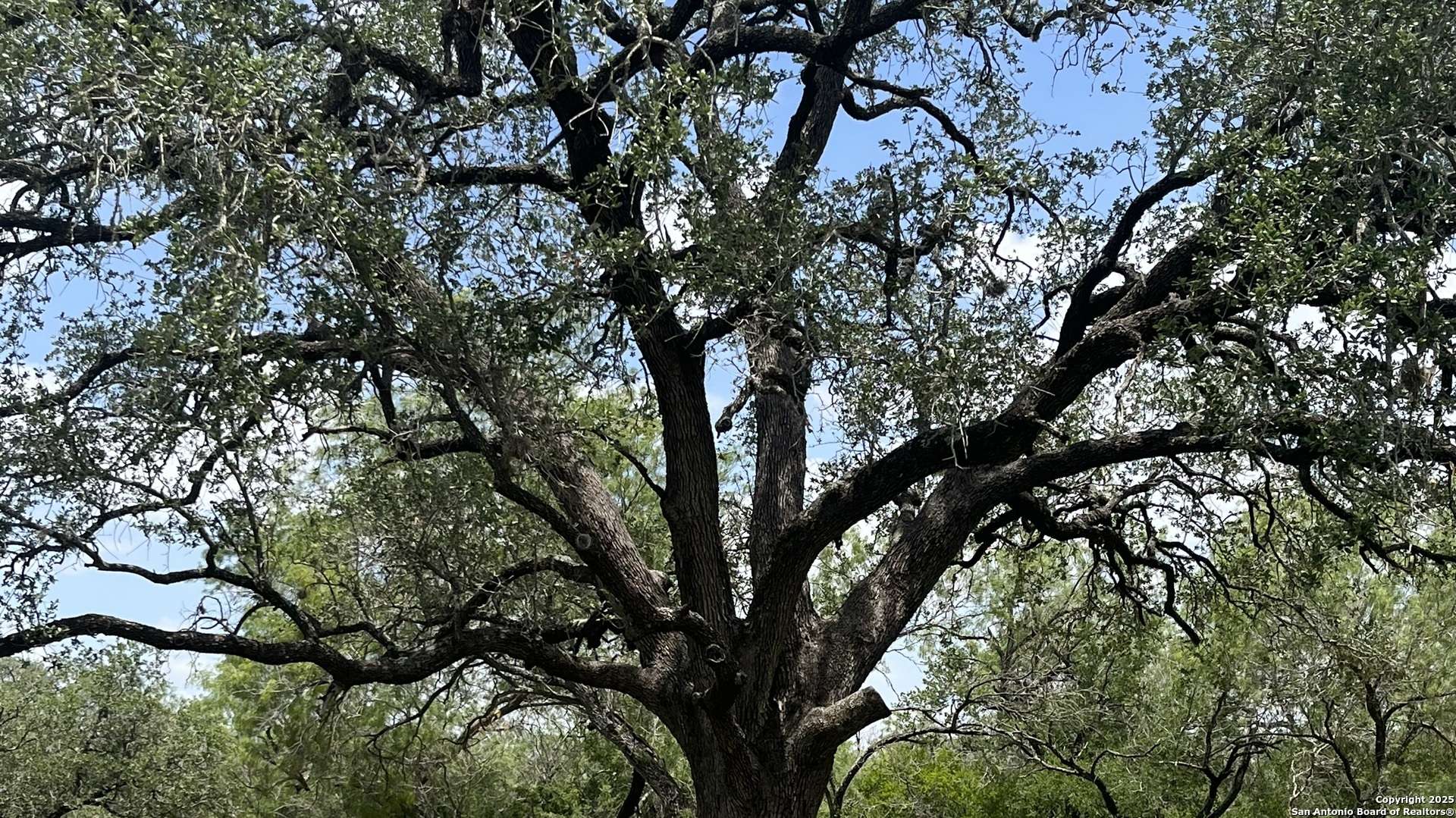 Bigfoot, TX 78005,946 county road 2863