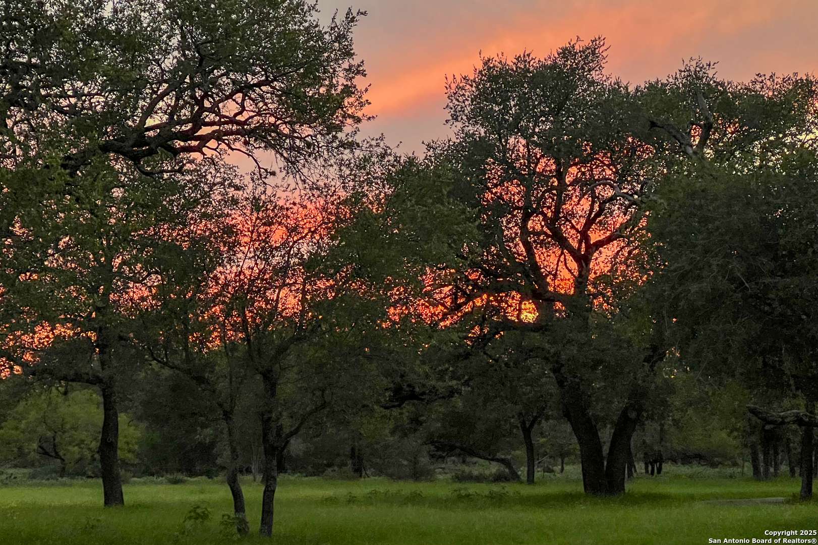 Devine, TX 78016,1210 County Road 761