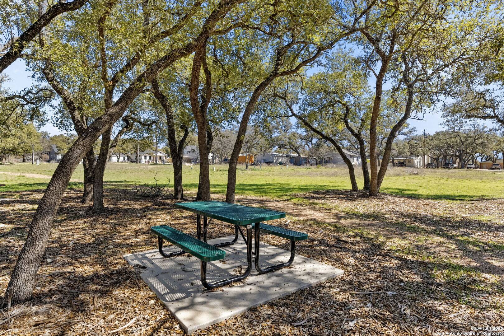 Blanco, TX 78606,1113 Mesquite
