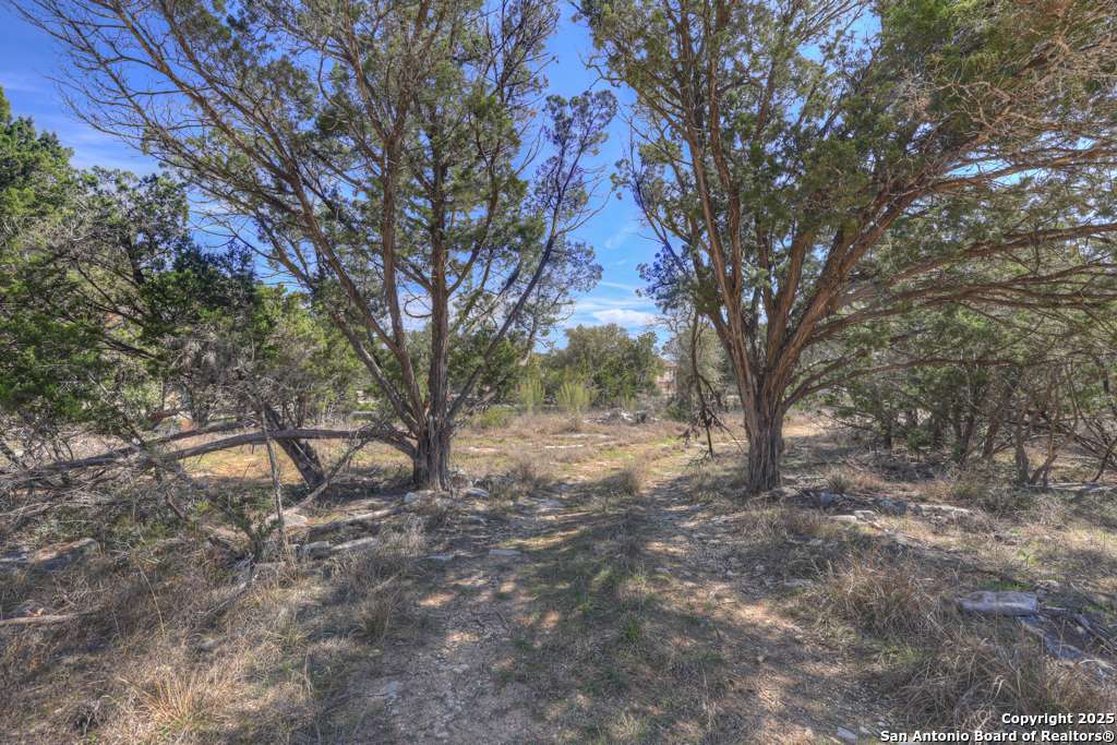 New Braunfels, TX 78132,233 Paradise Hills