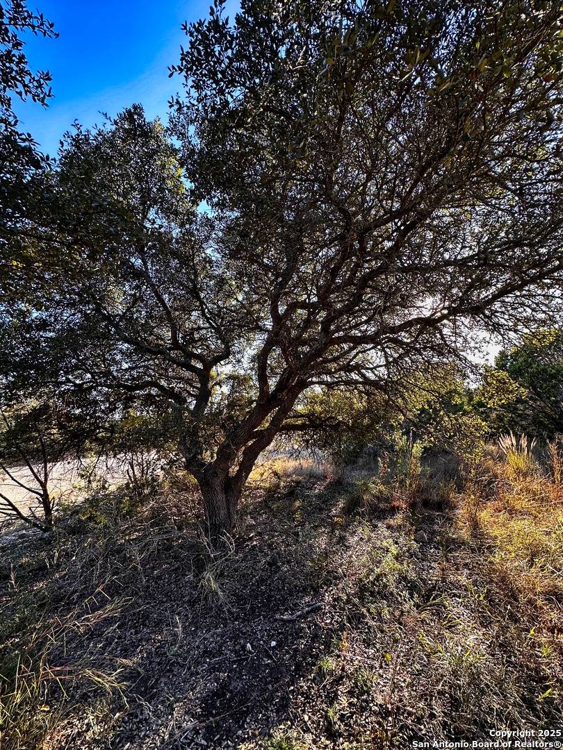 Spring Branch, TX 78070,628 Indian Trail