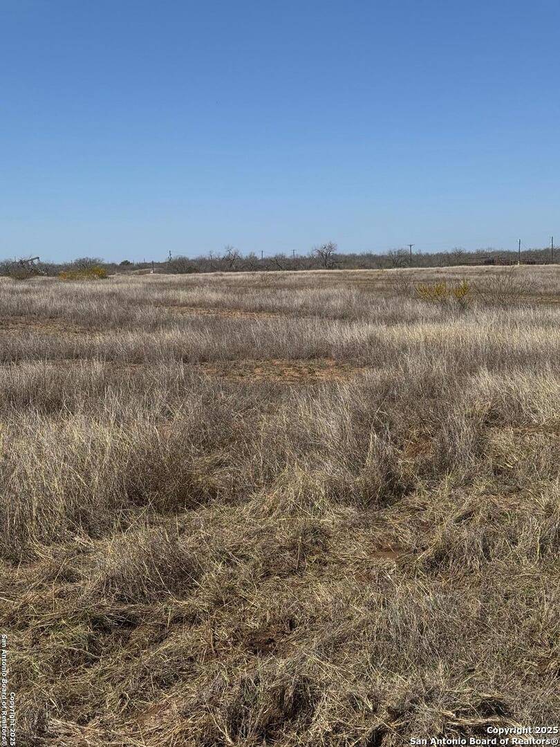 Pleasanton, TX 78064,TRACT 1 County Road 422