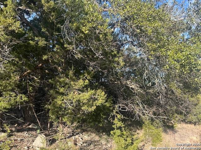 New Braunfels, TX 78132,247 Longwood
