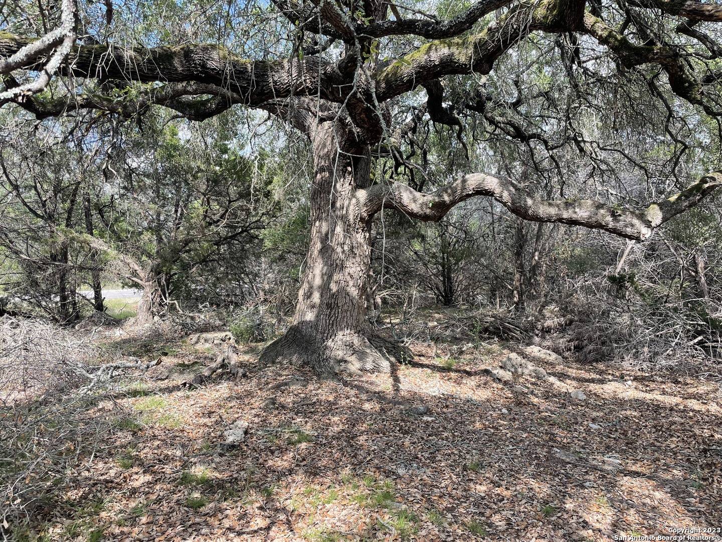 Spring Branch, TX 78070,330 rayner ranch