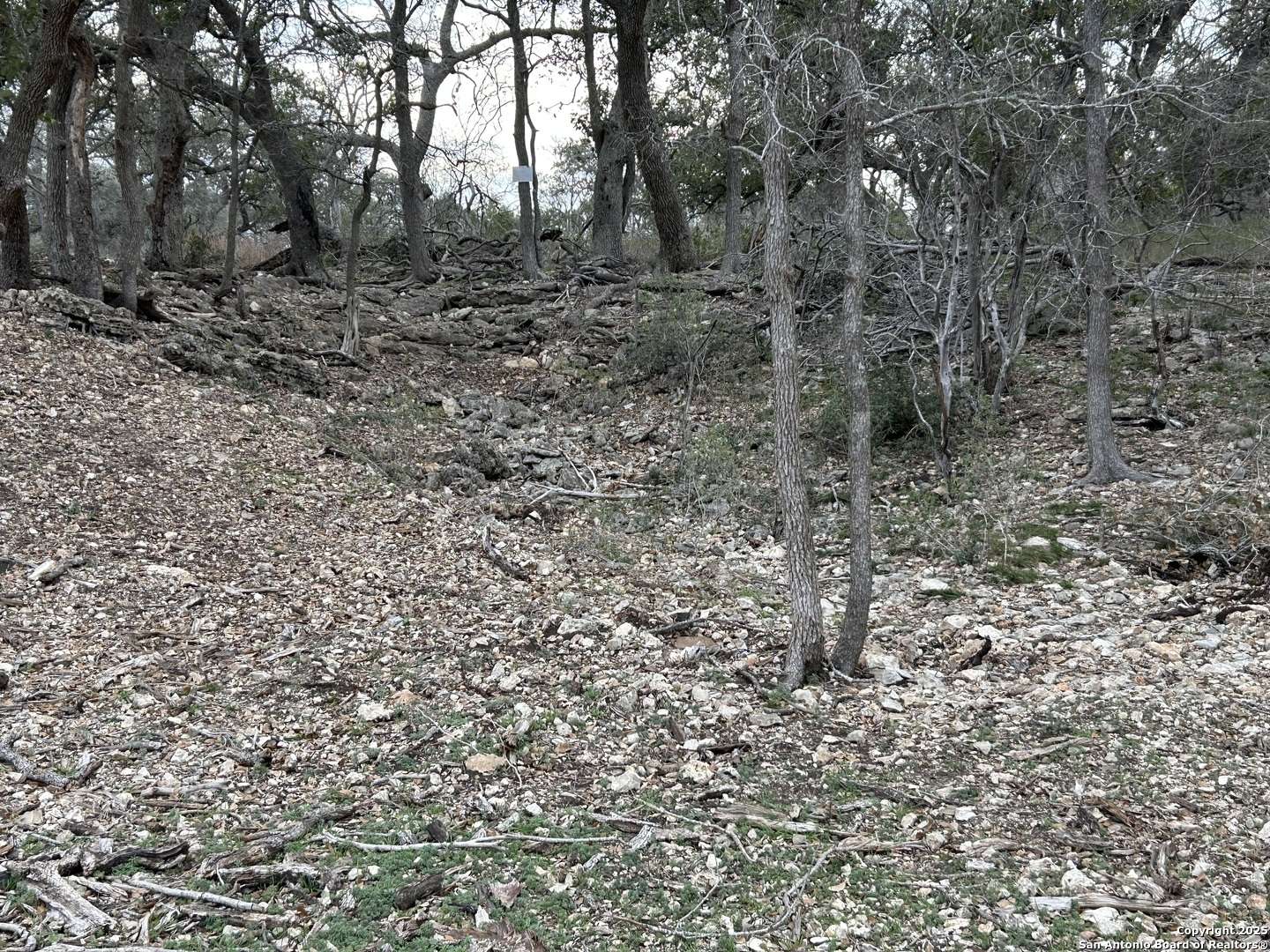 New Braunfels, TX 78132,2209 Deer Run