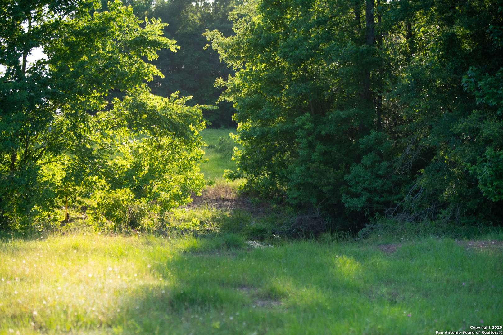 Centerville, TX 75833,000 County Road 120