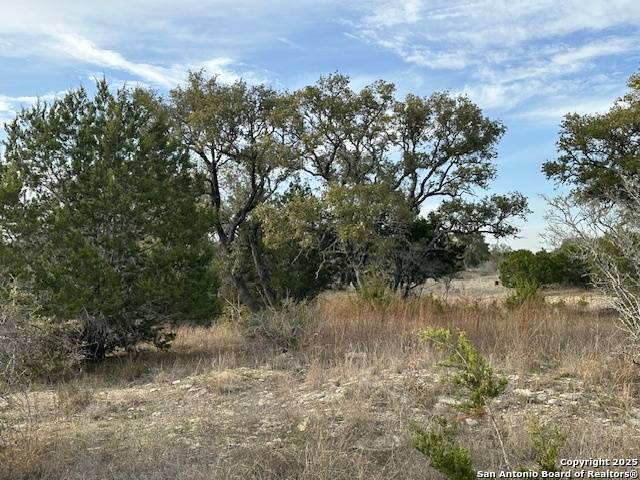 Spring Branch, TX 78070,145 Finch