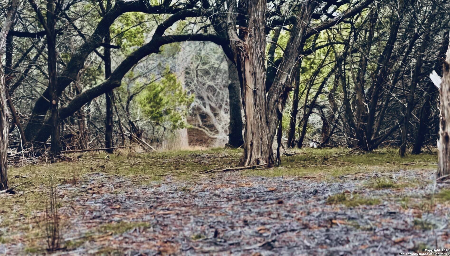 Center Point, TX 78010,0 Creekside At Camp Verde Phase 2 Lot 151