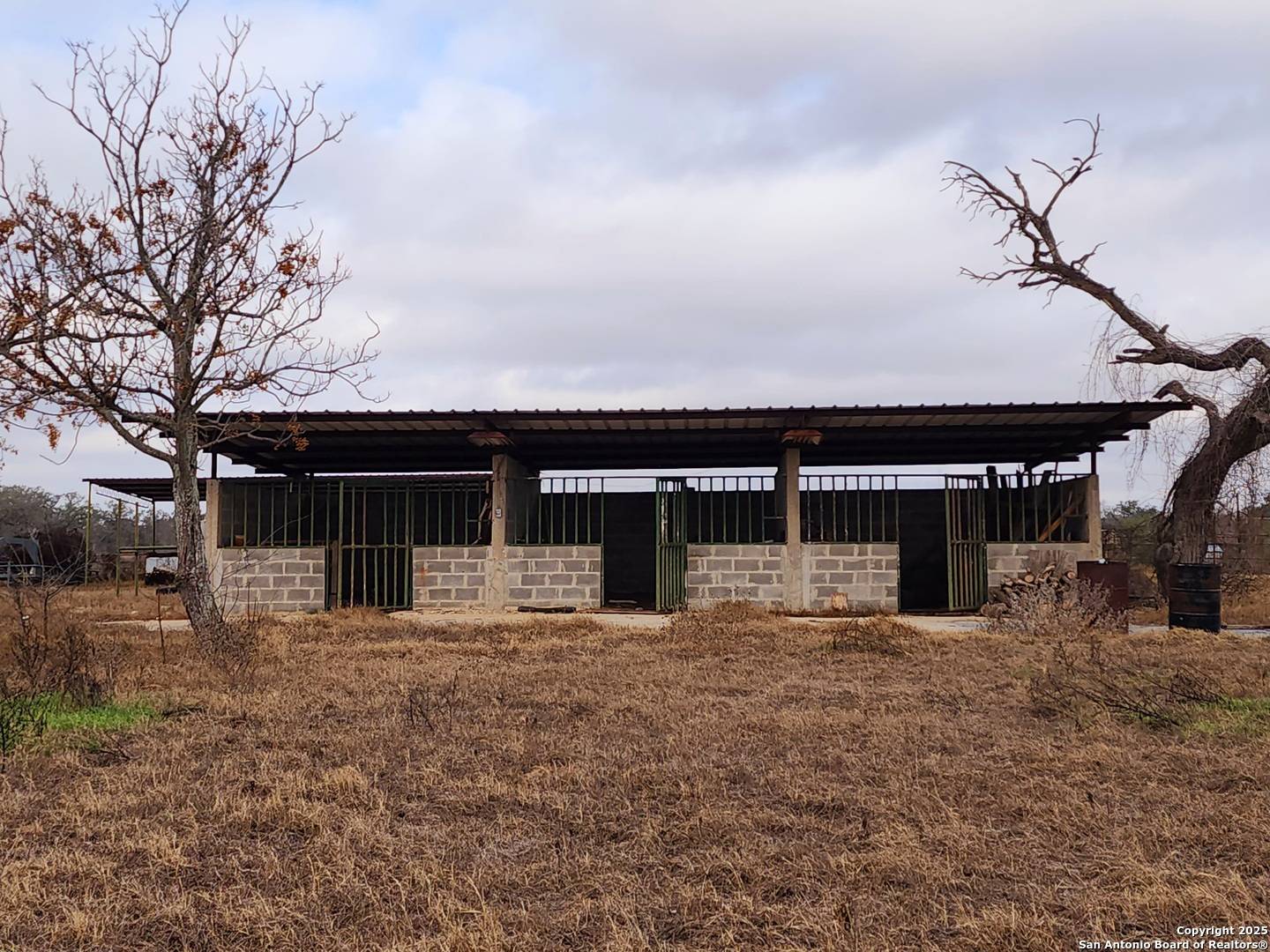 Poteet, TX 78065,217 pr olga