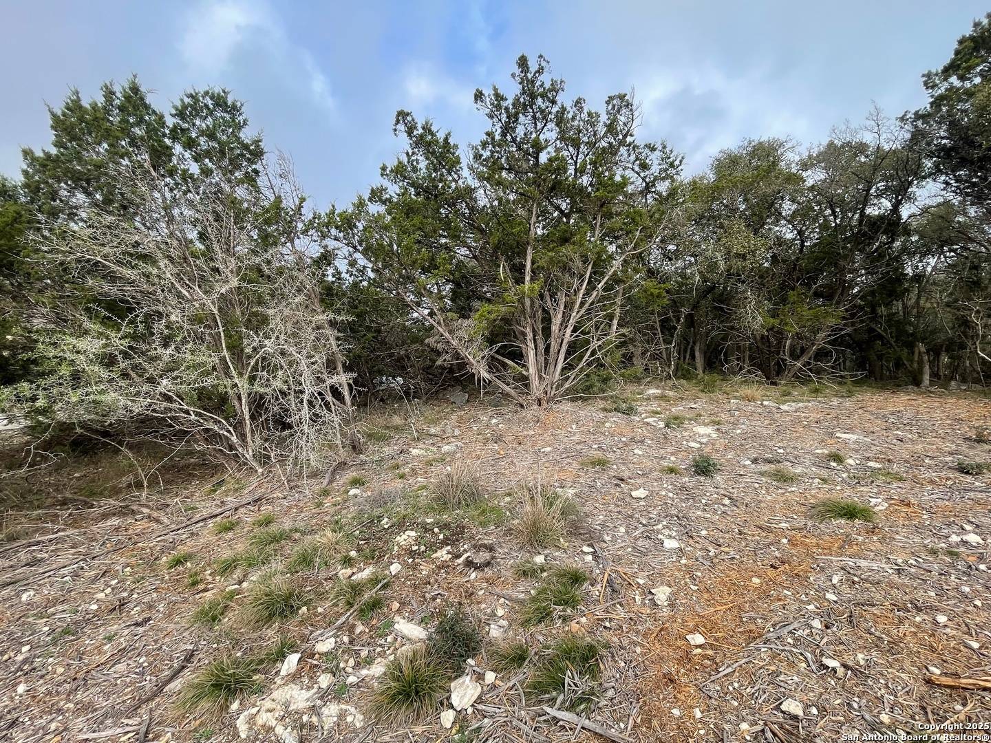 New Braunfels, TX 78132,126 Silverado