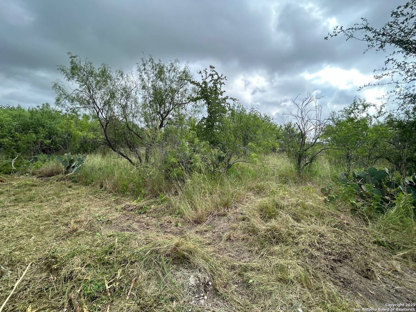 Castroville, TX 78009,1513 Old Highway 90