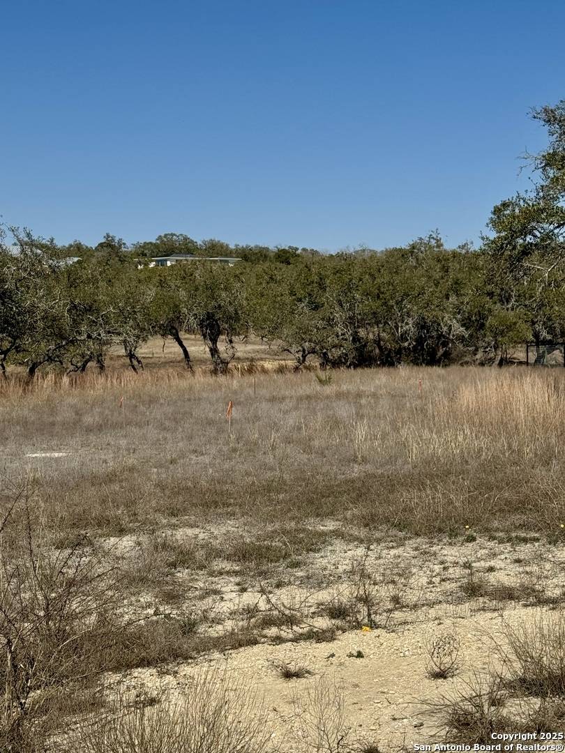 Bulverde, TX 78163,732 Sharp Springs