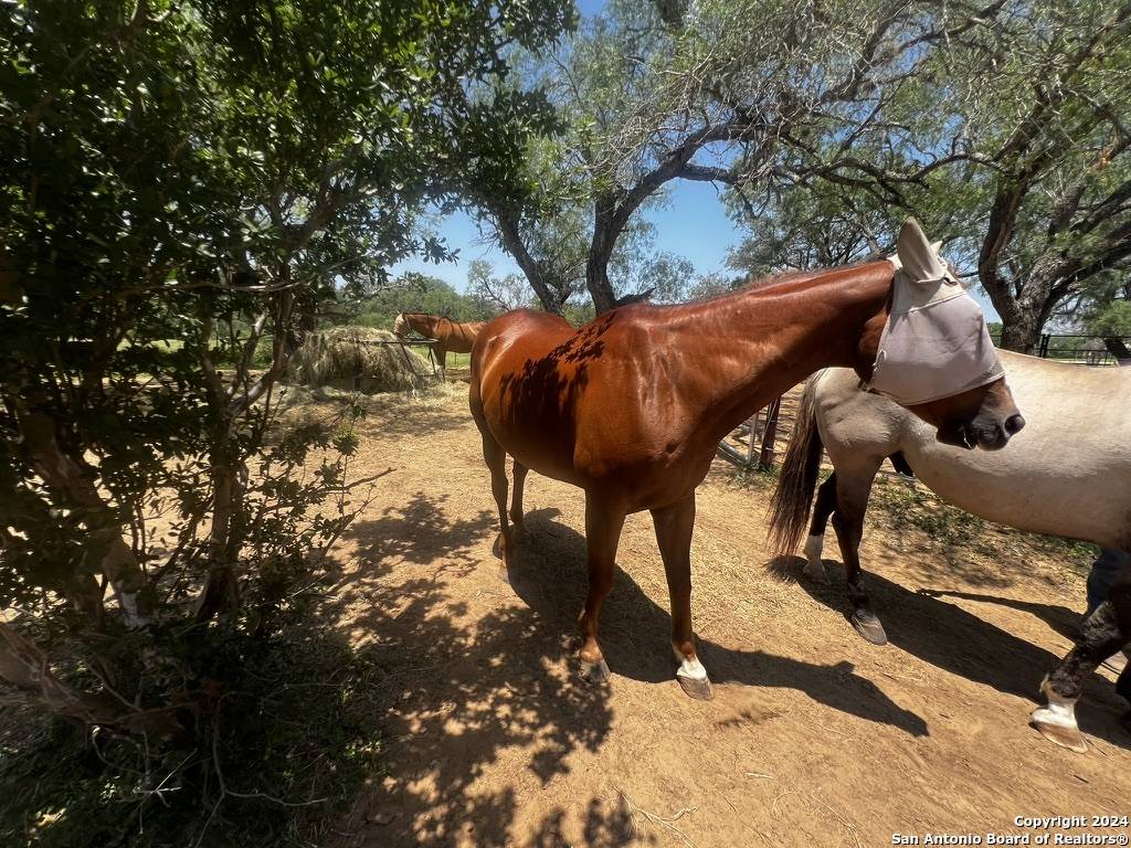 Floresville, TX 78114,660 TREY'S CREEK RD
