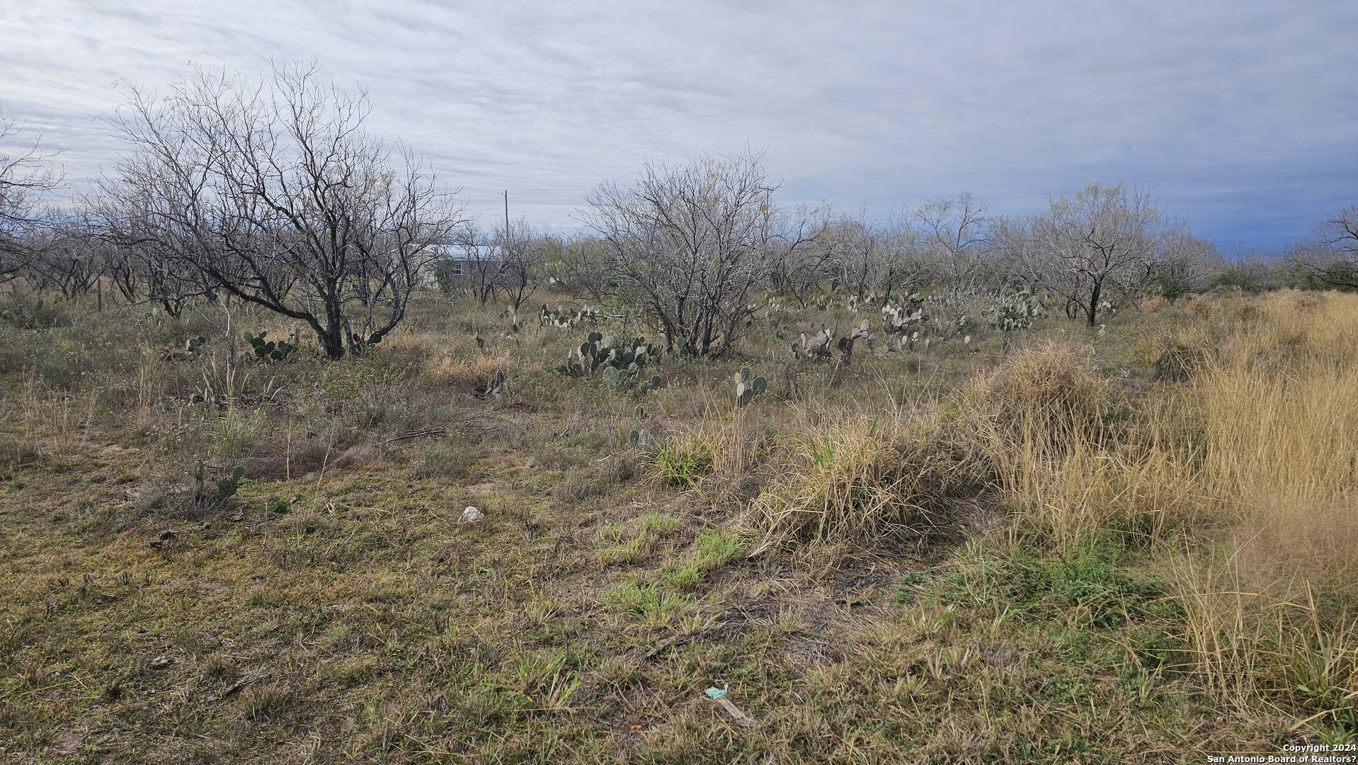 Christine, TX 78012,949 W Ave K Lots 3283-3285