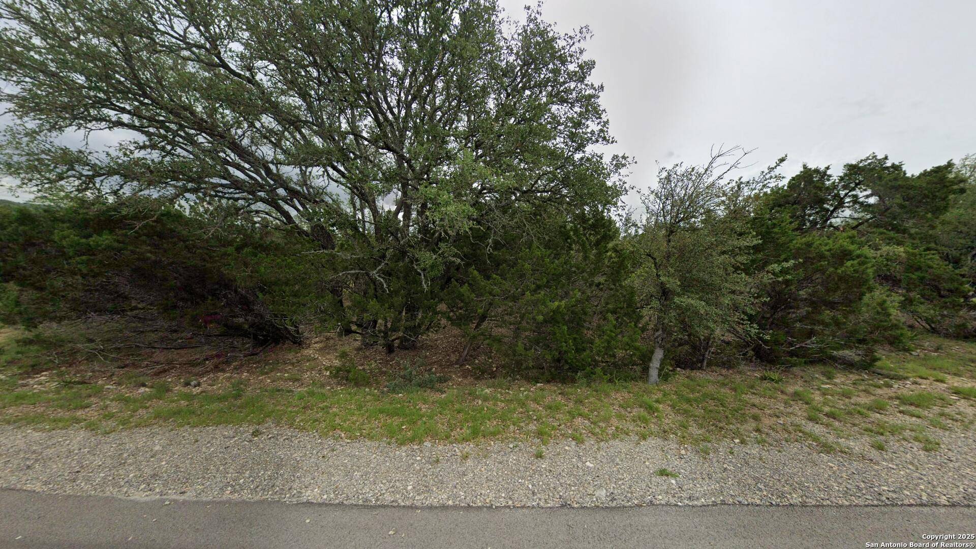 Canyon Lake, TX 78133,395 Mountain Wood