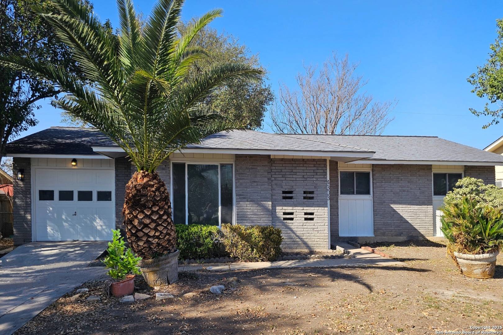 San Antonio, TX 78217,4303 Sunshadow