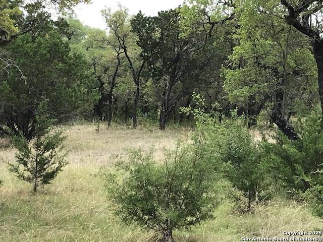 Rio Frio, TX 78879,237 Ridge Spur
