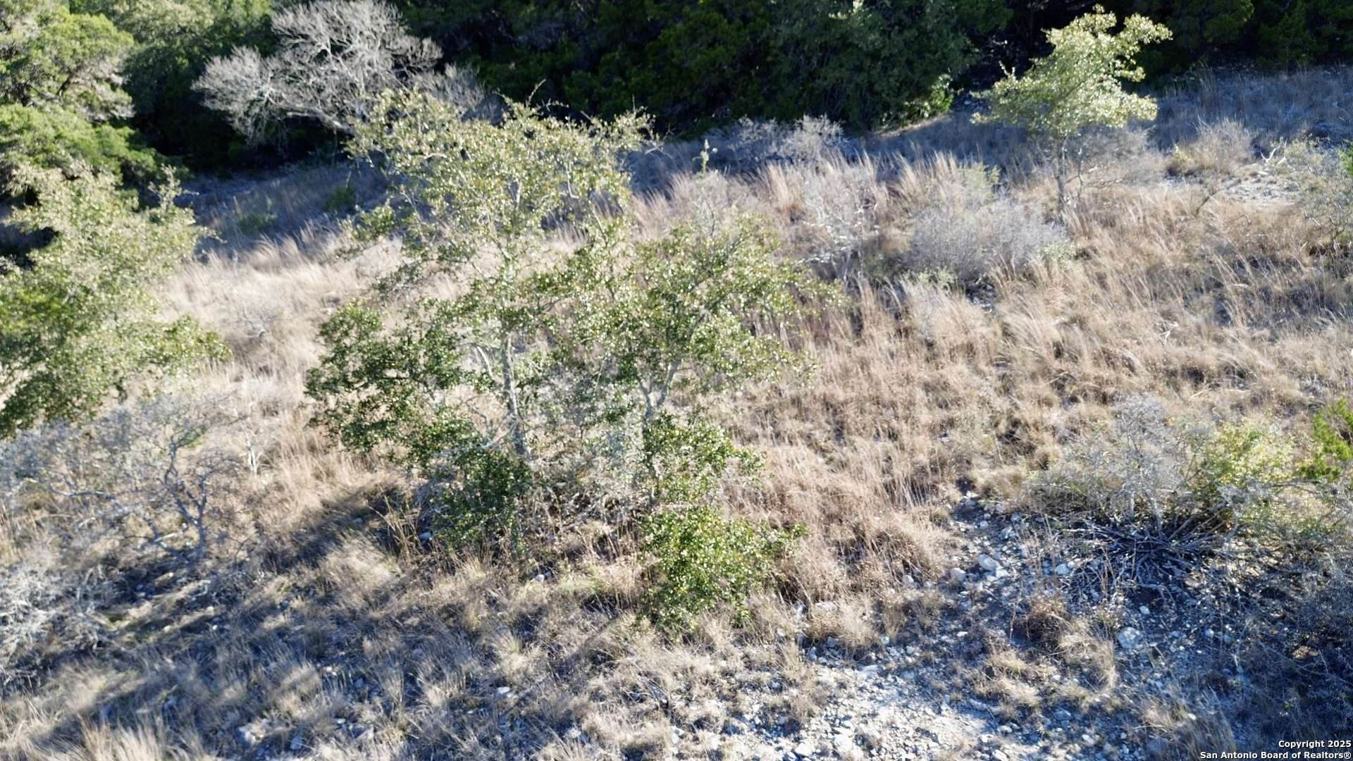 Bandera, TX 78003,TBD Grand View