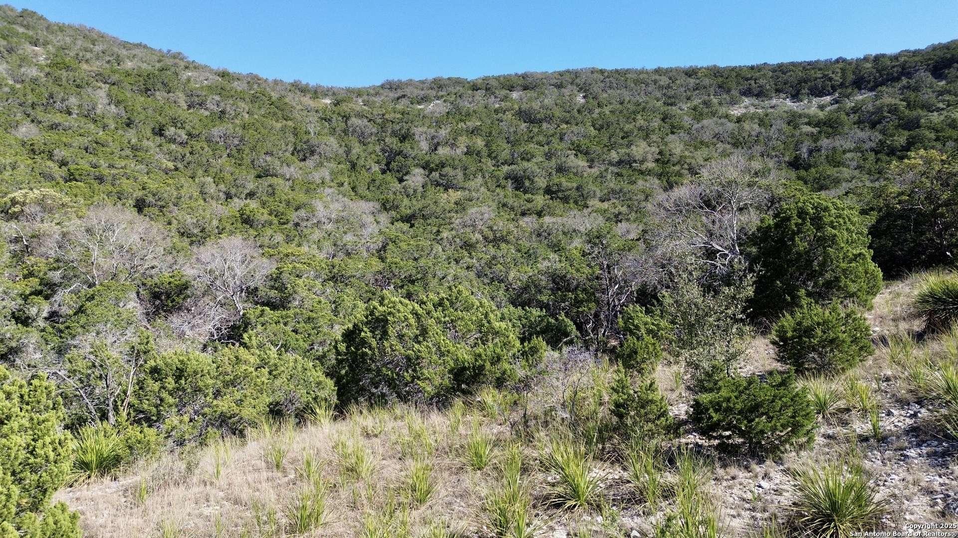 Bandera, TX 78003,TBD Grand View