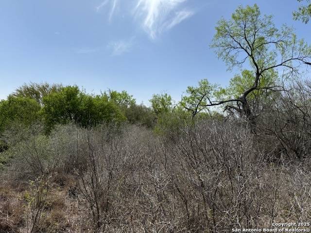 Cotulla, TX 78014,000 Los Alamos